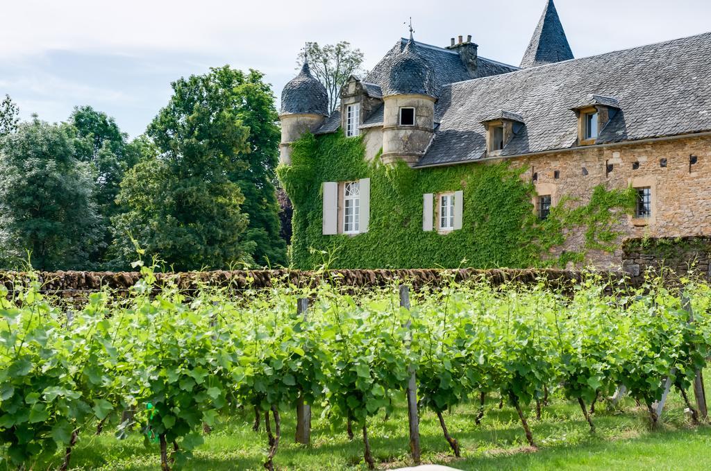 Chateau De Labro - Teritoria Onet-le-Chateau Экстерьер фото